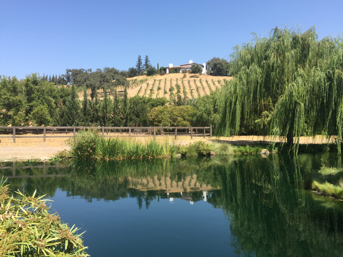 Santa Ynez Ranch | Ken Tanaka Studio