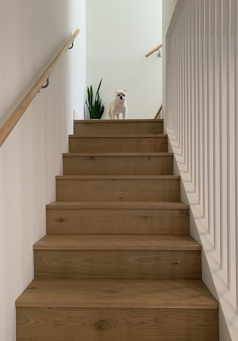 Manhattan Beach Town House | Ken Tanaka Studio