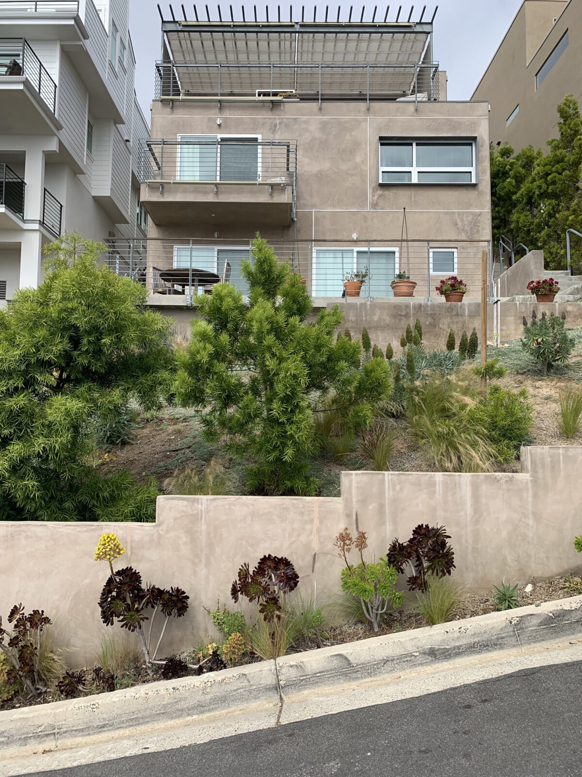 Laguna Beach House | Ken Tanaka Studio