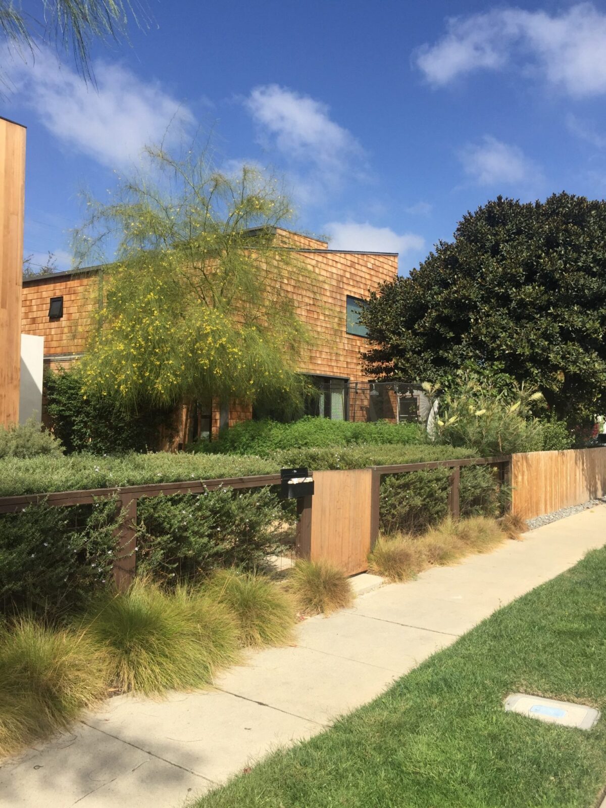 Nowita House | Ken Tanaka Studio