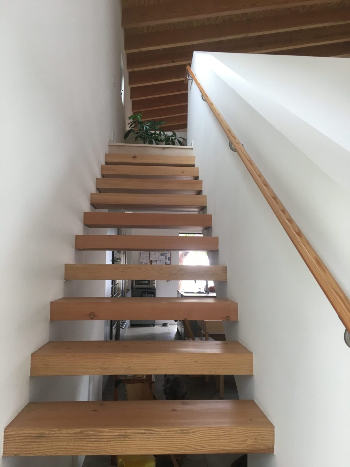 Nowita House | Ken Tanaka Studio